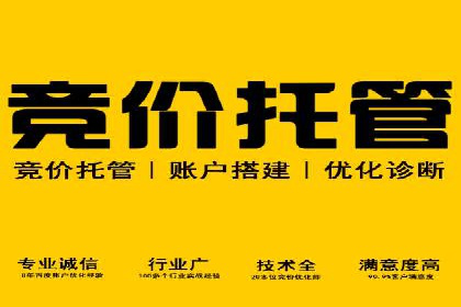 某某sem公司助力某电商企业实现业绩大增的秘诀